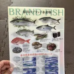 Item thumbnail for item 15a639b2-de19-42ad-87bb-9cc97f7358fe