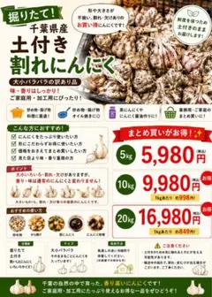 香川県産 訳ありニンニク M・Lサイズ 10kg ① - メルカリ