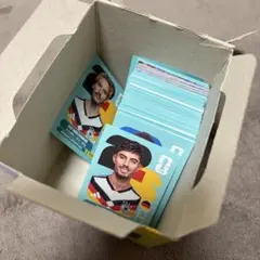 Panini FIFA World Cup 2026 ステッカー　193枚セット