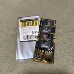 阪神タイガース 中野選手 フォトグレイ