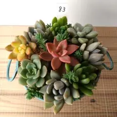 Kaka様 リクエスト 2点 まとめ商品