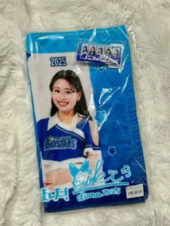 2026年最新】ベイスターズ diana akiの人気アイテム - メルカリ