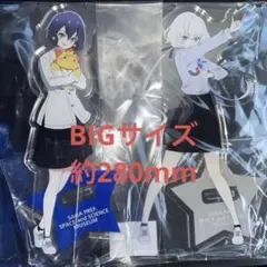 水野愛　紺野純子　セット　アクリルコースター　ふるさと館　ゾンビランドサガ 水野愛 紺野純子 セット アクリルコースター ふるさと館 ゾンビランド