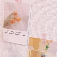 追加