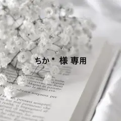 ちか＊ 様 専用