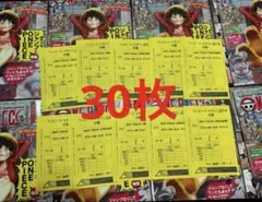 ワンピースマガジン ルフィ ワンピースカードゲーム プロモ 30枚セット