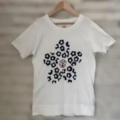 ブルーナtシャツ