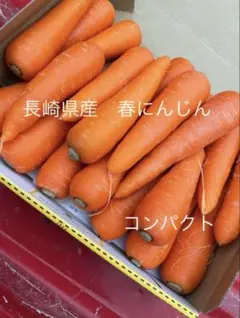 徳島県産 春人参 訳あり規格外 サイズバラバラ 1.5kg未満 - メルカリ