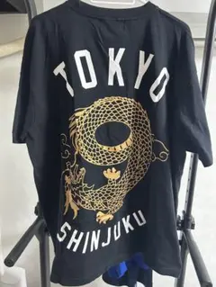 Item thumbnail for item 6b887538-e022-4403-a1bf-09d98858d950