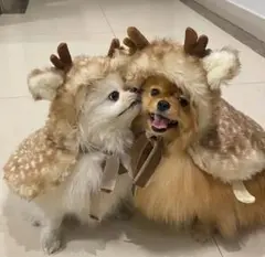 日月様 リクエスト 2点 まとめ商品