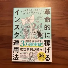 革命的に稼げるインスタ運用法