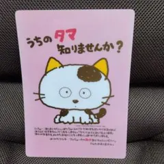 Item thumbnail for item b32a2bc1-11c6-4c25-9eec-c04f2fded7e4