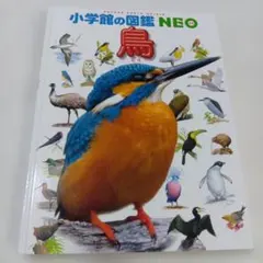 小学館の図鑑NEO 鳥 小学生向け鳥類図鑑