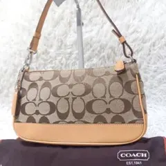 Coach Accessory Pouch Signature archive