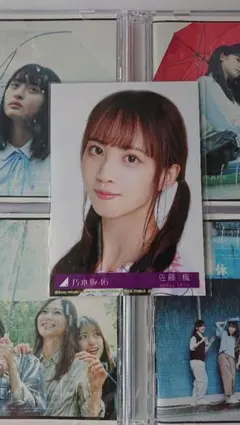 乃木坂46 24thシングル封入生写真 ヨリ 阪口珠美 、ヨリ  佐藤楓