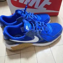 Nike Air Maxエクシー 青 スニーカー 28.5cm