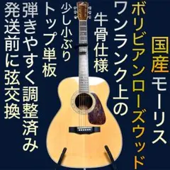 牛骨】MORRIS☆モーリス！少し小ぶり！F-18【弾き易く調整☆新品の弦