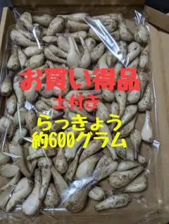 흙이 든 샬롯 약 600g
