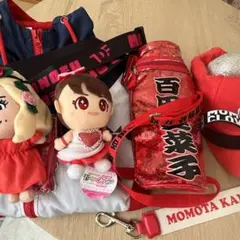 2025年最新】ももクロ ペンライトケースの人気アイテム - メルカリ