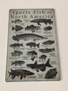 Sports Fish of North America ブリキ看板 レトロ