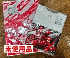 シン・エヴァンゲリオン劇場版ポスター、スポーツタオル、バンダナ未 