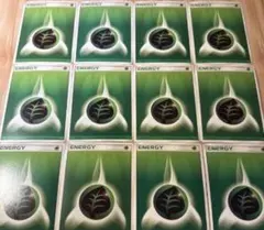 ポケモンカード　基本草エネルギー12枚セットg