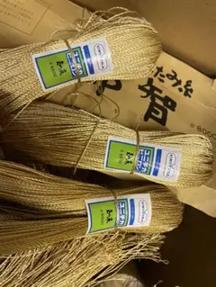 Item thumbnail for item de182686-b944-47e5-a65e-c7e65925e8e2