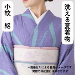 売切値下げ】☆605mkf35☆洗える夏の着物！小紋 絽 蝶々尽くし 水色
