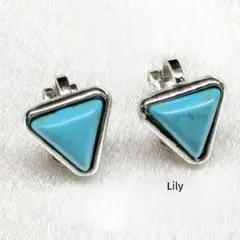 ✨ ターコイズ イヤリング 三角 トライアングル インディアン 部族 民族
