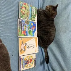 Wiiソフト4本セット(スーパーマリオギャラクシー2他)