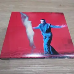 PETER GABRIEL/US