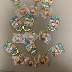 静岡限定 ちいかわ 「みかん」 ダイカットキーホルダー 9個