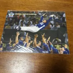 Item thumbnail for item 914e66b3-73b8-432a-a6d4-631661a08436