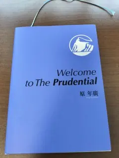 【 プルデンシャル生命 】ブルーブック Amazon.co.jp: ブルーブック プルデンシャル生命 原 Prudential