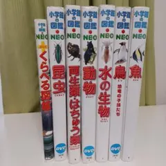 Item thumbnail for item 97d4d989-0ff4-4908-9cd4-d5f4473ba375