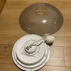 ライト