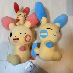 プラスル、マイナン、ミニプラスル3点セット