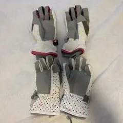 Item thumbnail for item b998418c-aa2e-4030-a963-d688c45bbf5f