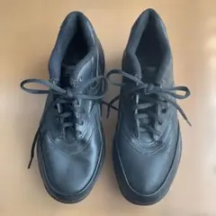 Item thumbnail for item d9f30019-a89b-4627-a201-a98dce64d951