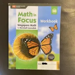 Math in Focus 3B Singapore Math 算数 教科書