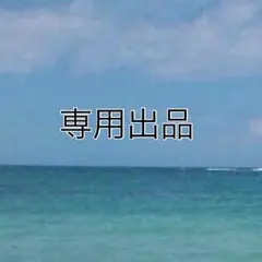 まーやん様専用出品