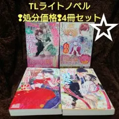 ❢処分価格❢TL小説ライトノベル（単行本）4冊セット