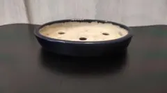 2026年最新】盆栽鉢 鴻陽の人気アイテム - メルカリ