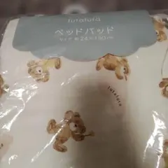 Item thumbnail for item 301f03b8-85d3-4174-80c0-cb6693d58b94