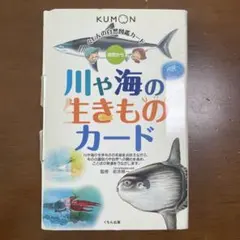 くもんの自然図鑑カード 川や海の生きものカード 知育玩具のサムネイル