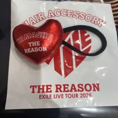 山本彰吾　ヘアゴム