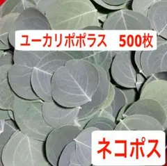 2026年最新】リーフシャワーの人気アイテム - メルカリ