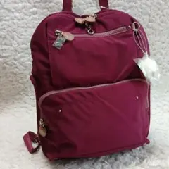 美品】 カナナプロジェクト 2wayリュック ワンデイパック マチ拡張