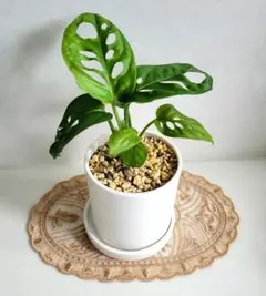 tocco様 リクエスト 2点 まとめ商品