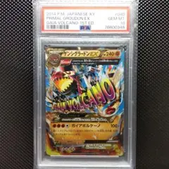 ゲンシグラードンEX RR ガイアボルケーノ XY5 040/070 PSA10 - メルカリ